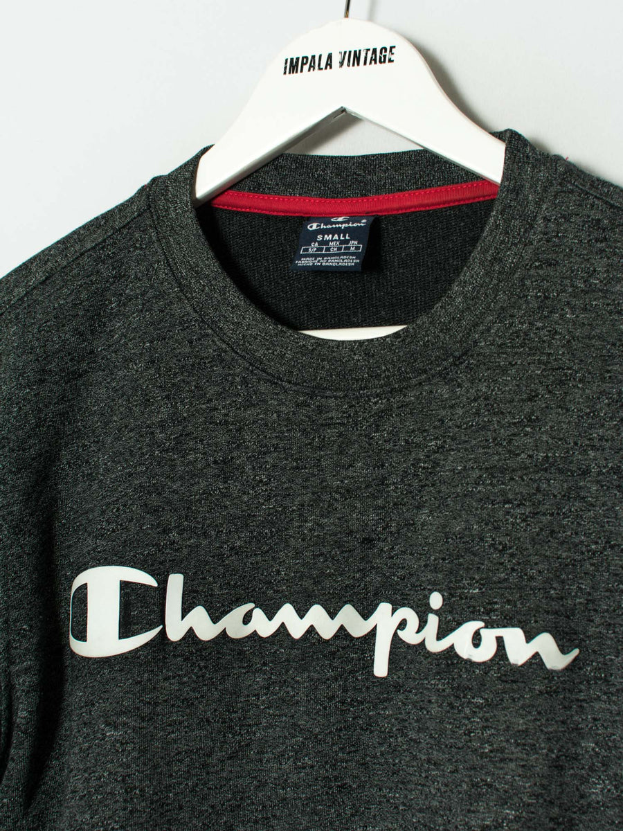 Champion Gray Sweatshirt