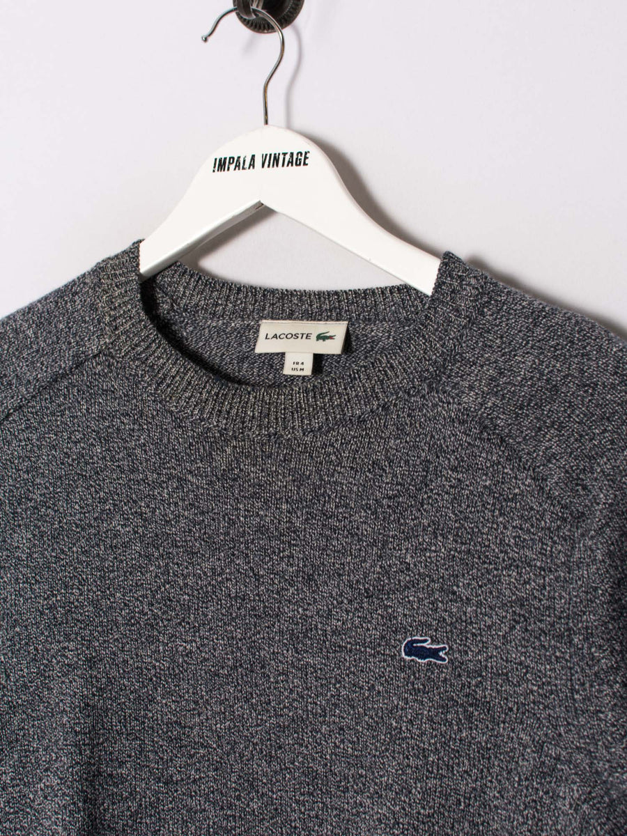 Lacoste Blue Logo Sweater