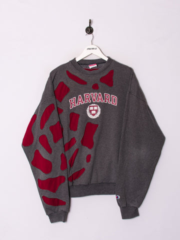 Champion sweaters vintage on sale hombre