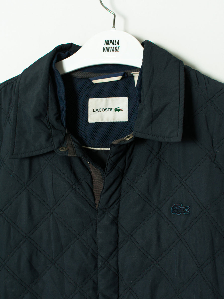 Lacoste Navy Blue Padded Jacket