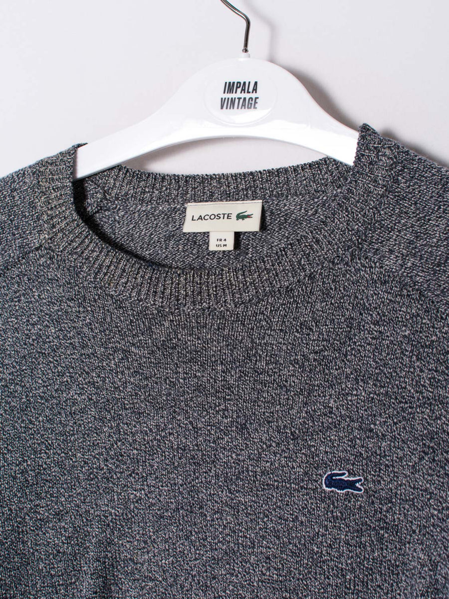 Lacoste Grey & Blue Sweater