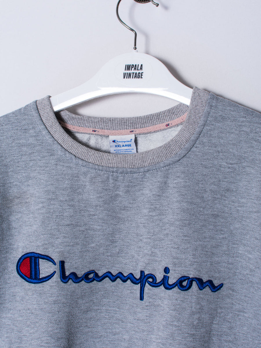 Champion Grey Sweatshirt