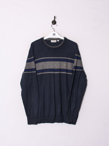 Lacoste Navy Blue Stripe Sweater