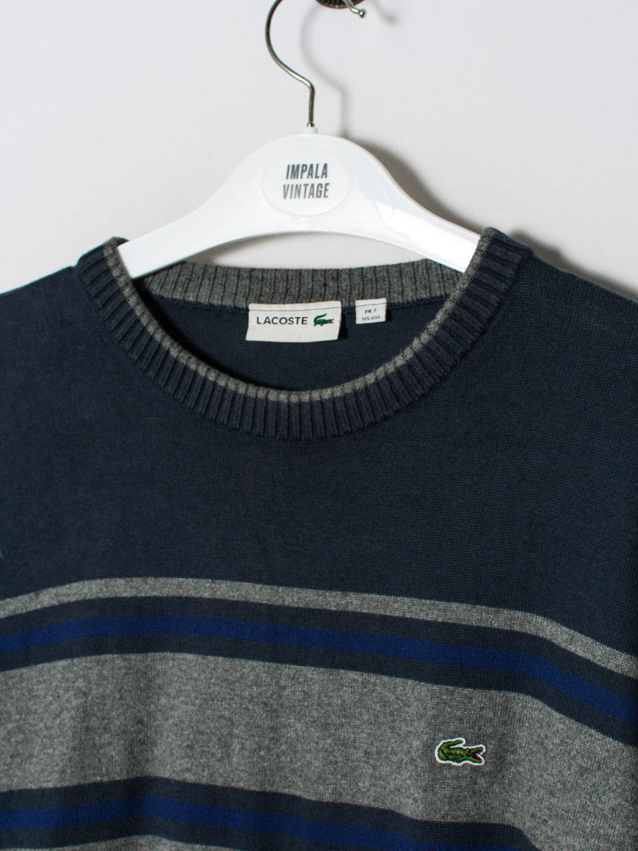 Lacoste Navy Blue Stripe Sweater