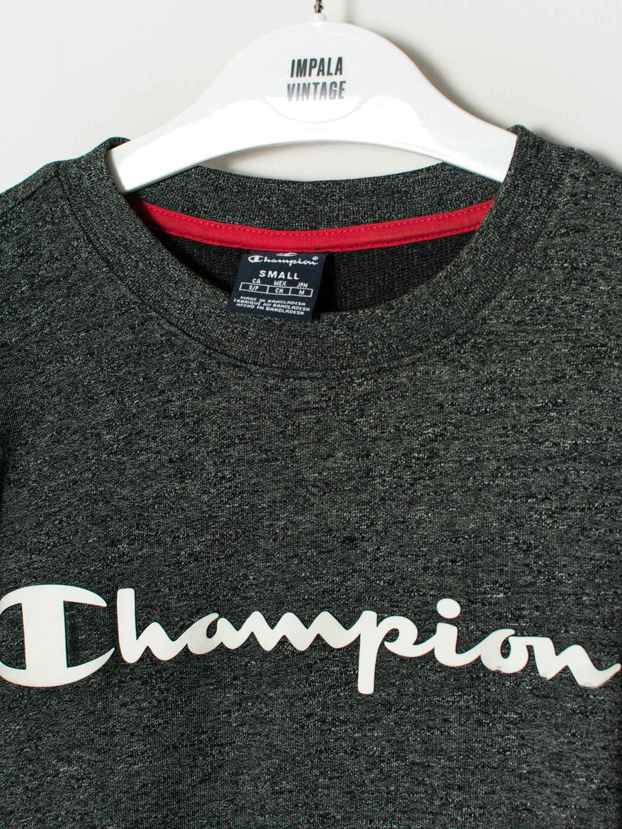 Champion Grey Sweatshirt