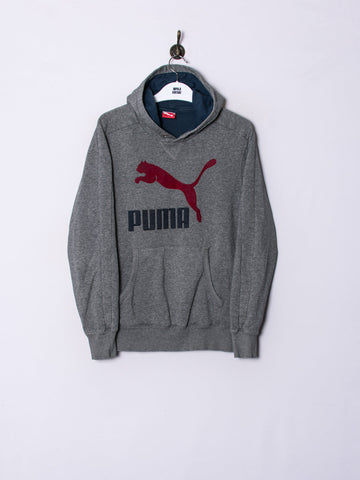 Puma Grey Hoodie