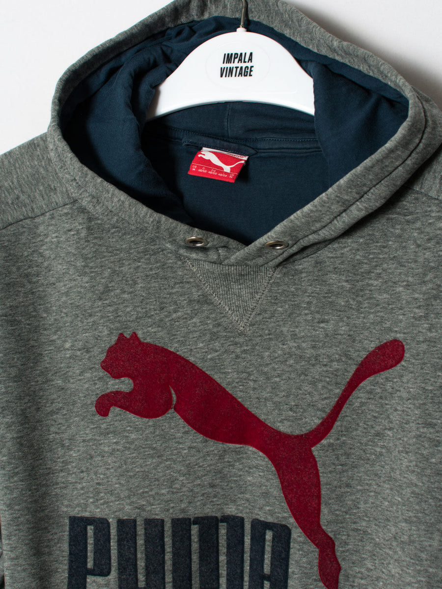 Puma Grey Hoodie