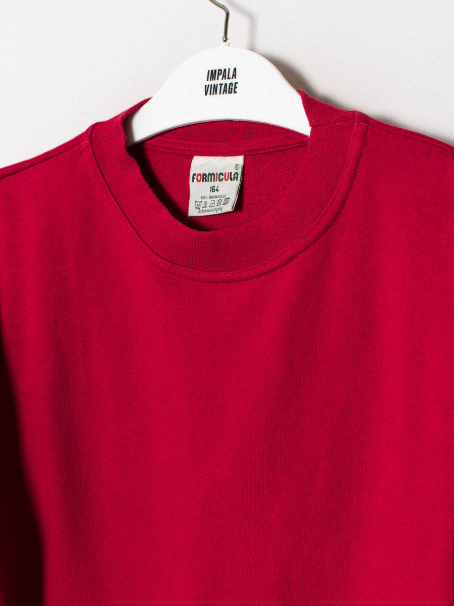 Formicula Red Sweatshirt