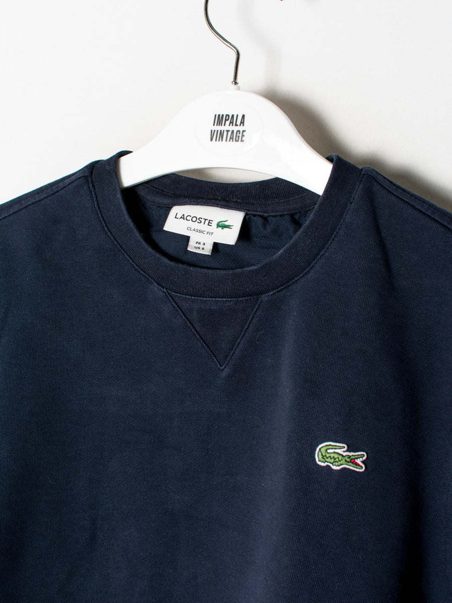 Lacoste Classic Fit Navy Blue Sweatshirt